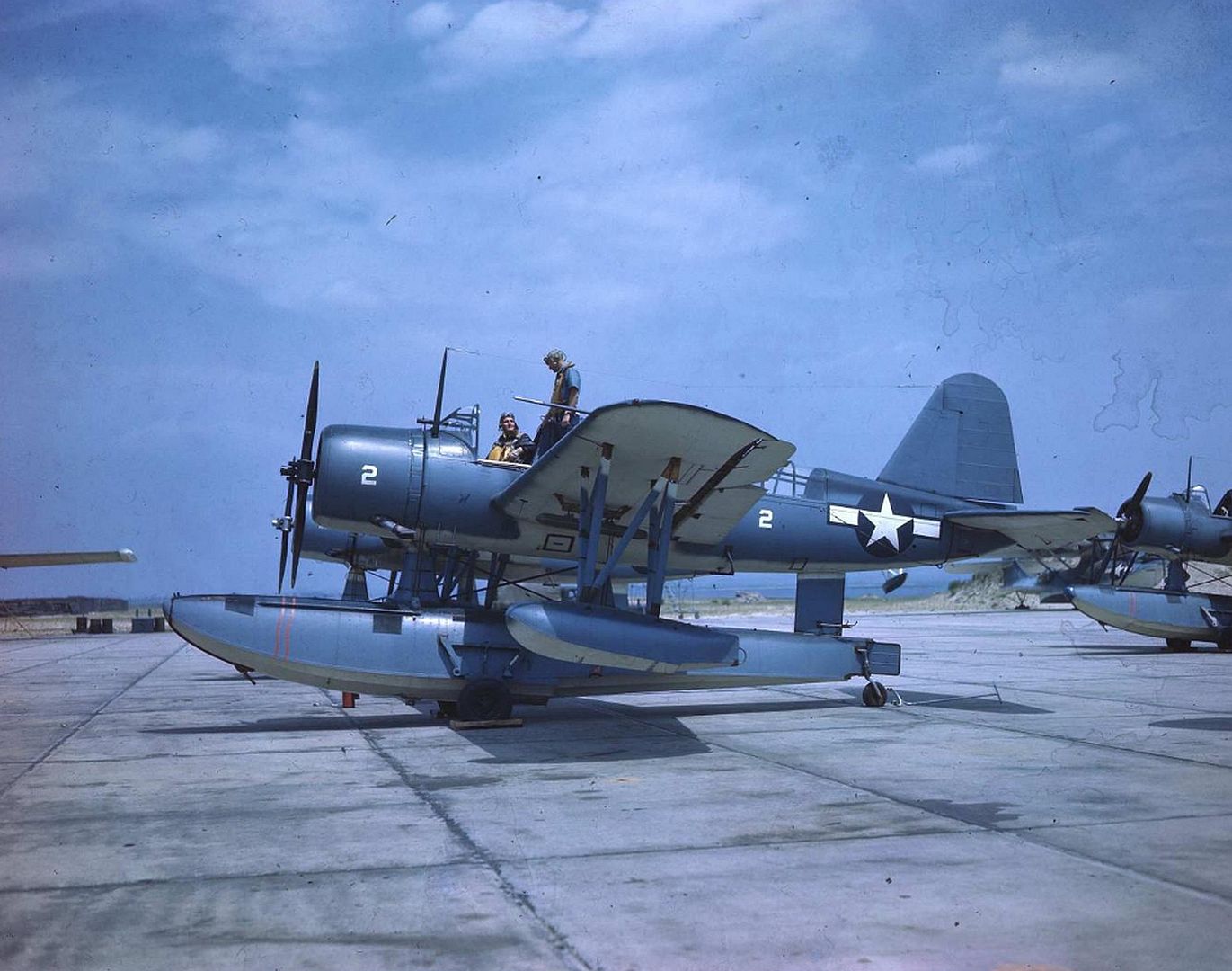 Kingfisher Kingfisher